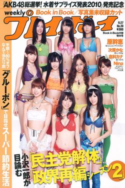 乡村爱情4