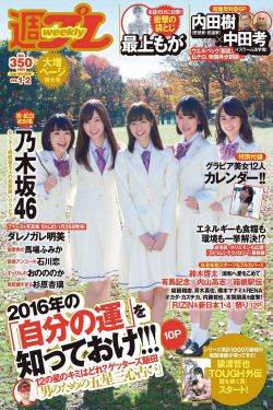 珠帘玉幕电视剧免费观看完整版